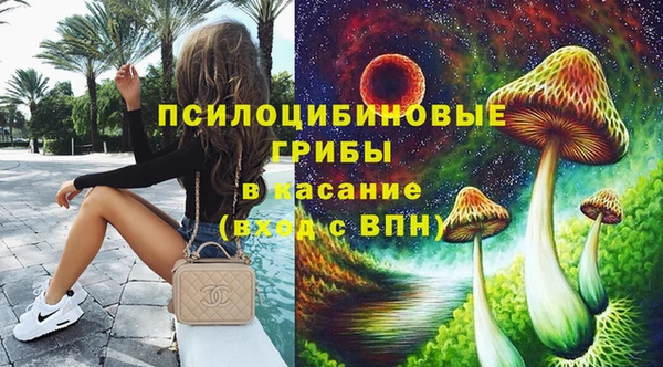амф Липки